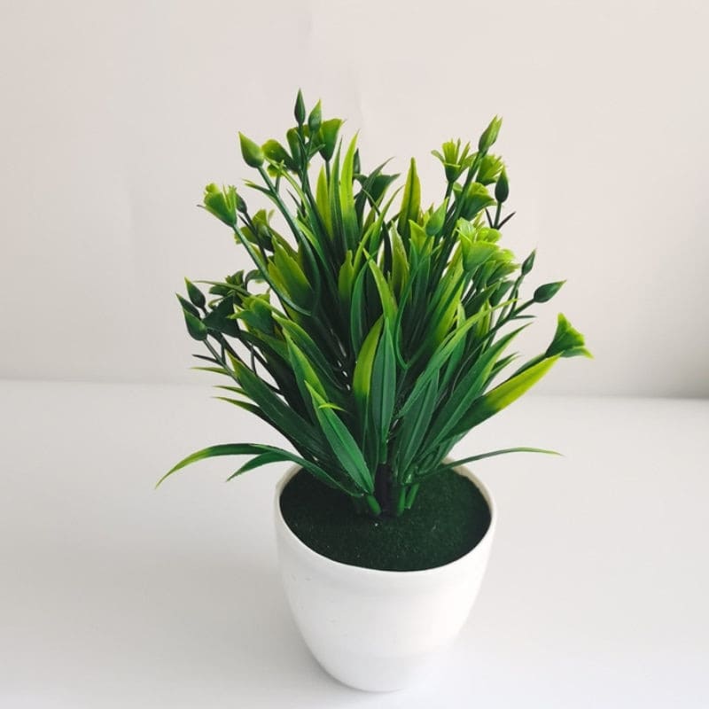 Fausse Petite Plante Verte