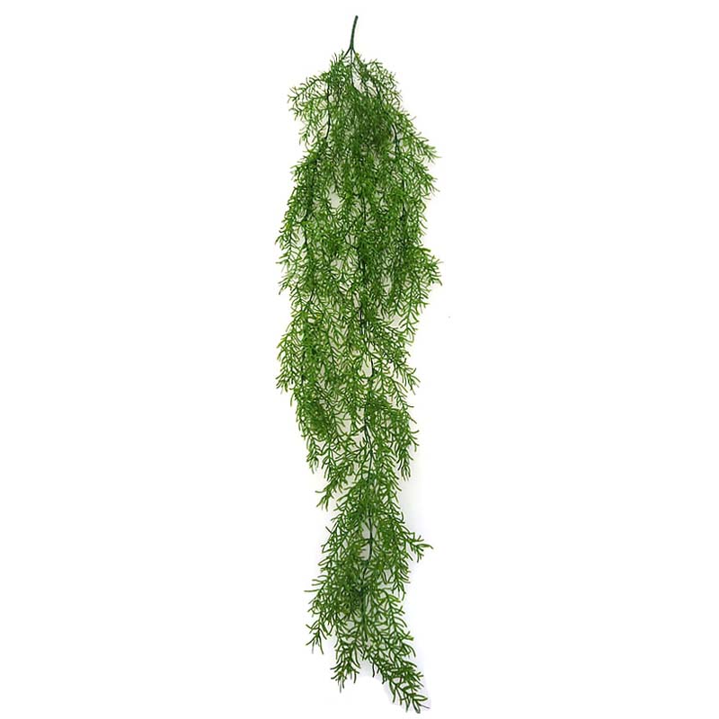 Fausse Plante Grimpante