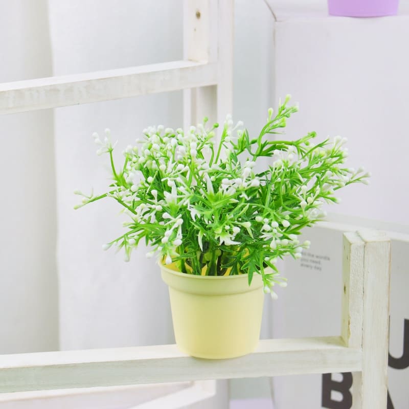 Fausse Plante d'Intérieur