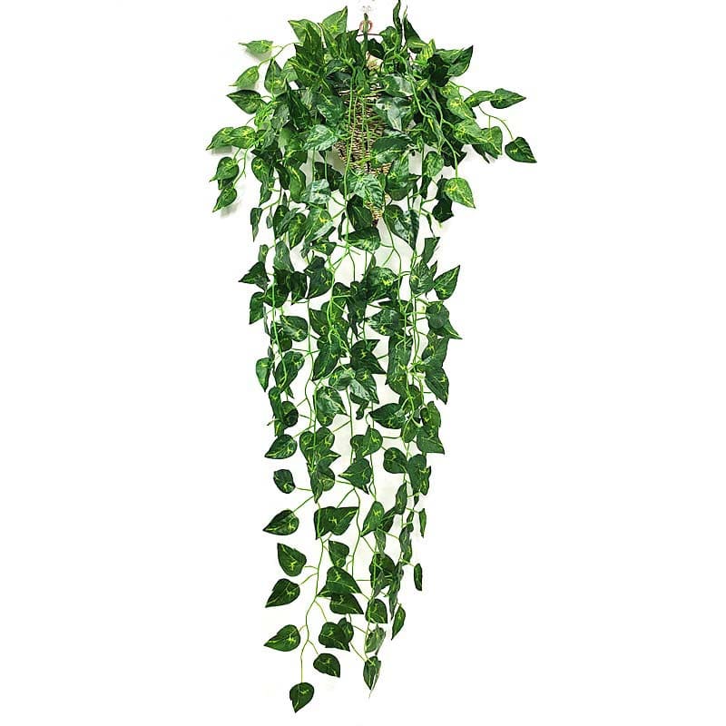 Faux Lierre Pothos