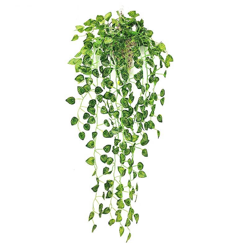 Faux Lierre Scindapsus