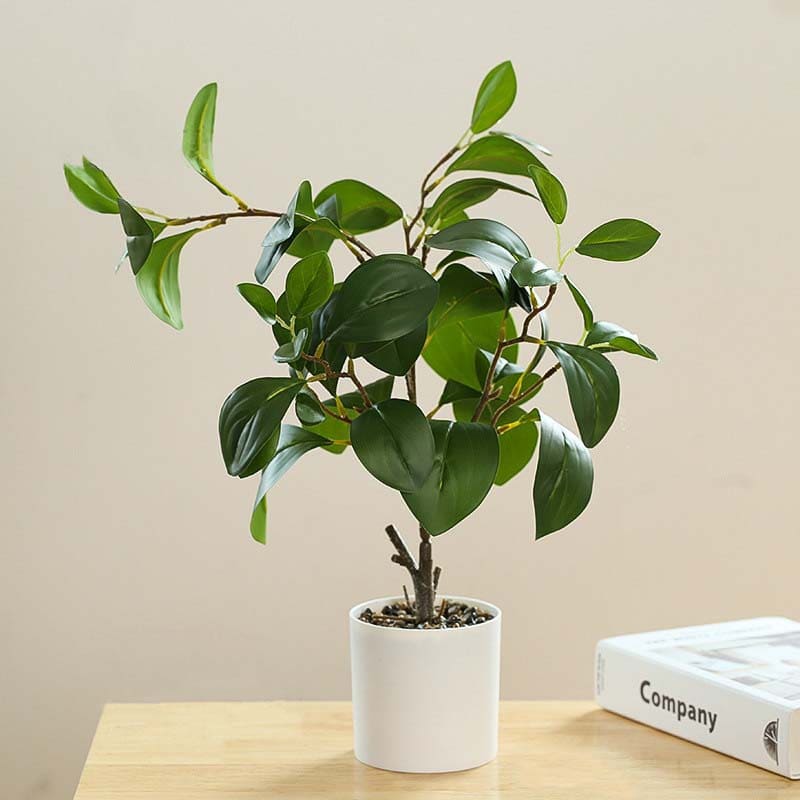 Ficus Artificiel