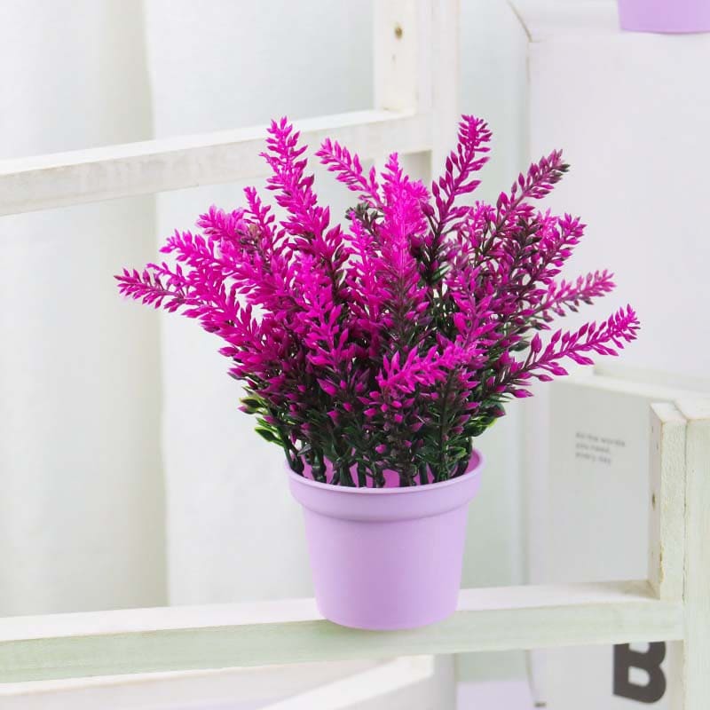 Lavandes Artificielles En Pot