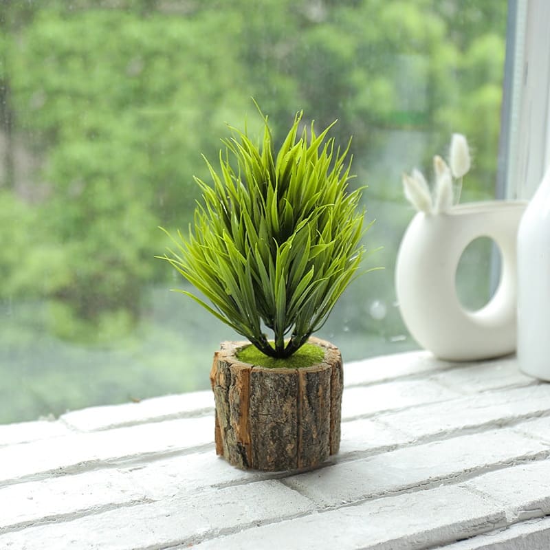 Petite Fausse Plante Haute Qualité