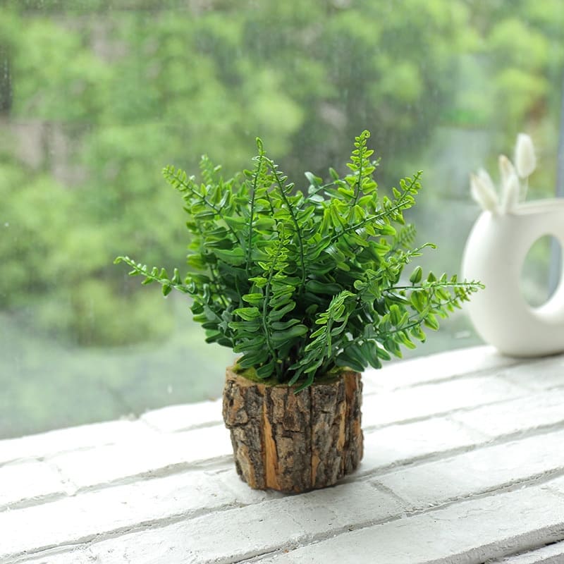 Petite Fausse Plante intérieur