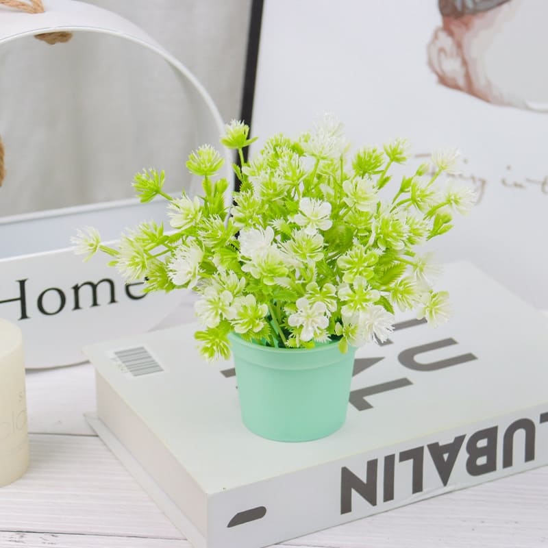 Petites Fleurs Blanches