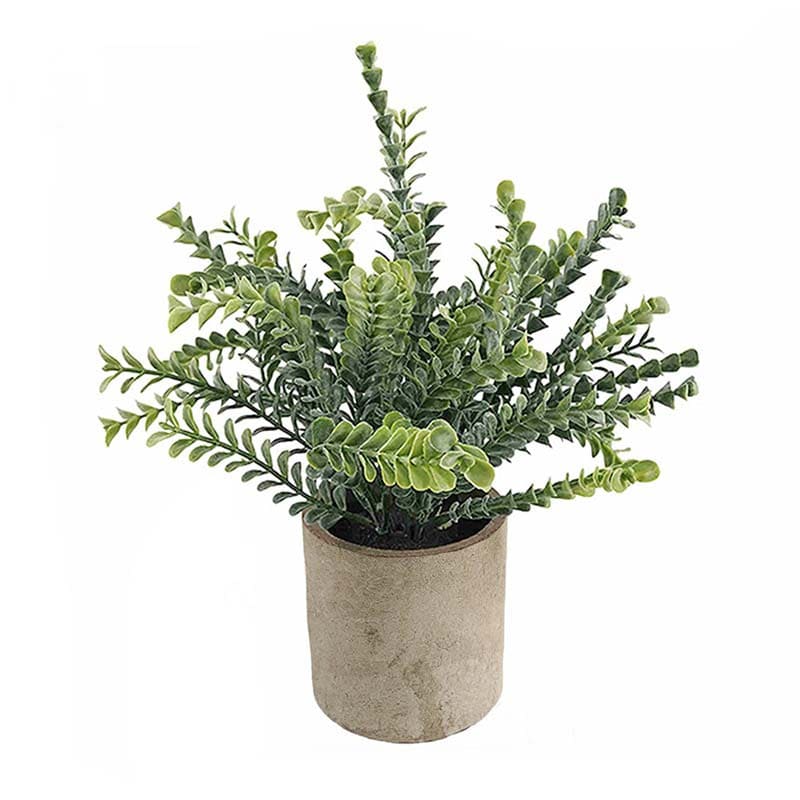 Plante Artificielle en Pot 24cm
