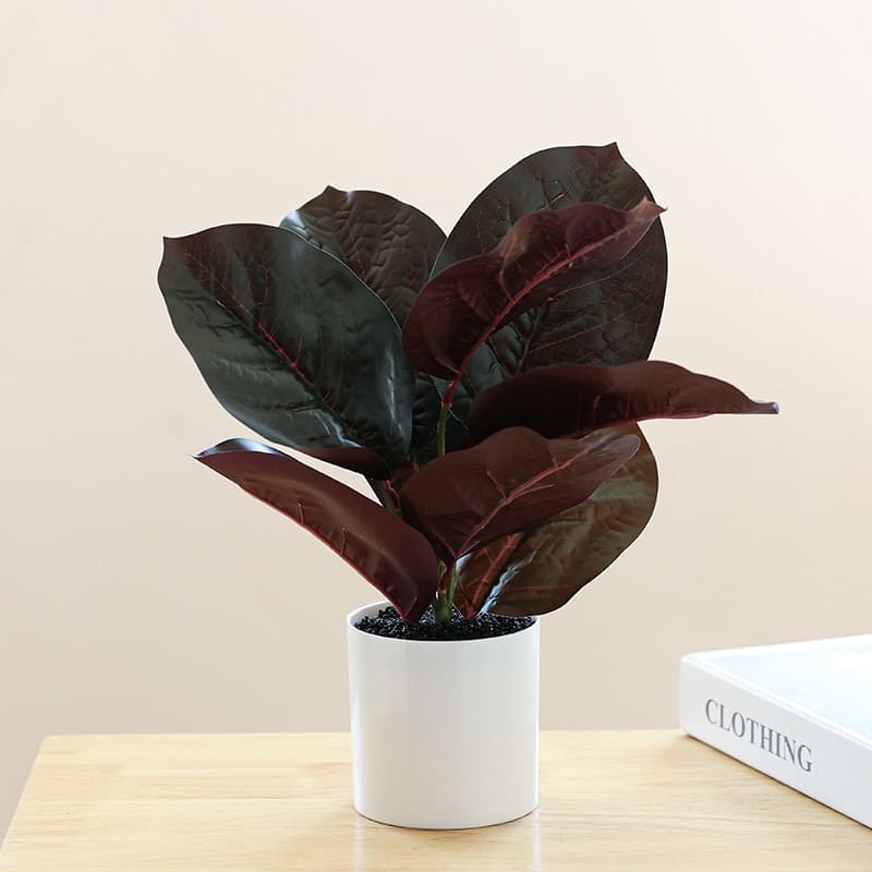 Plante Fausse Déco Ficus