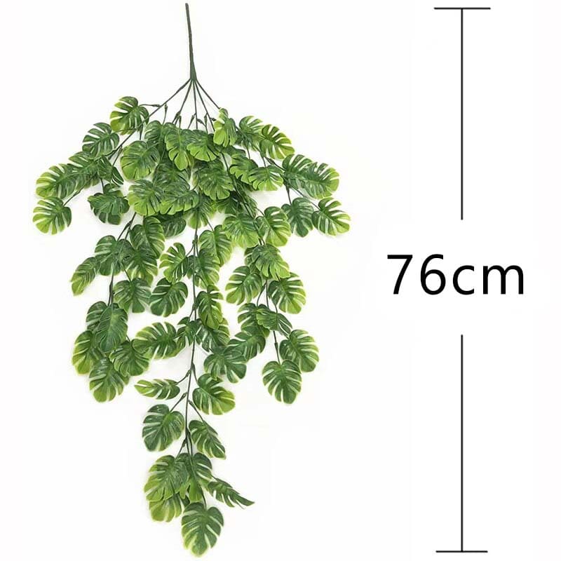 Plante Murale Tombante Dimension