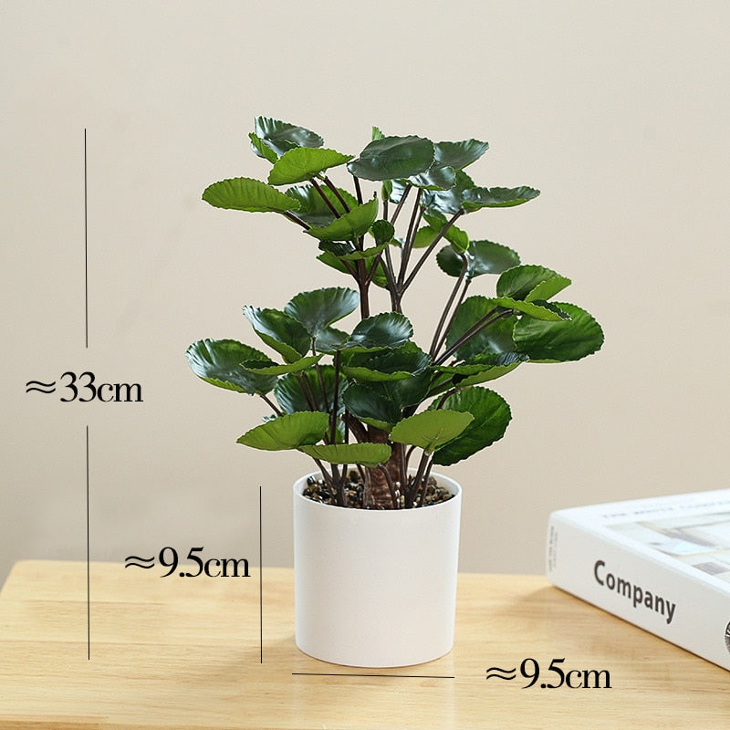 Plante Polyscias Déco 33cm