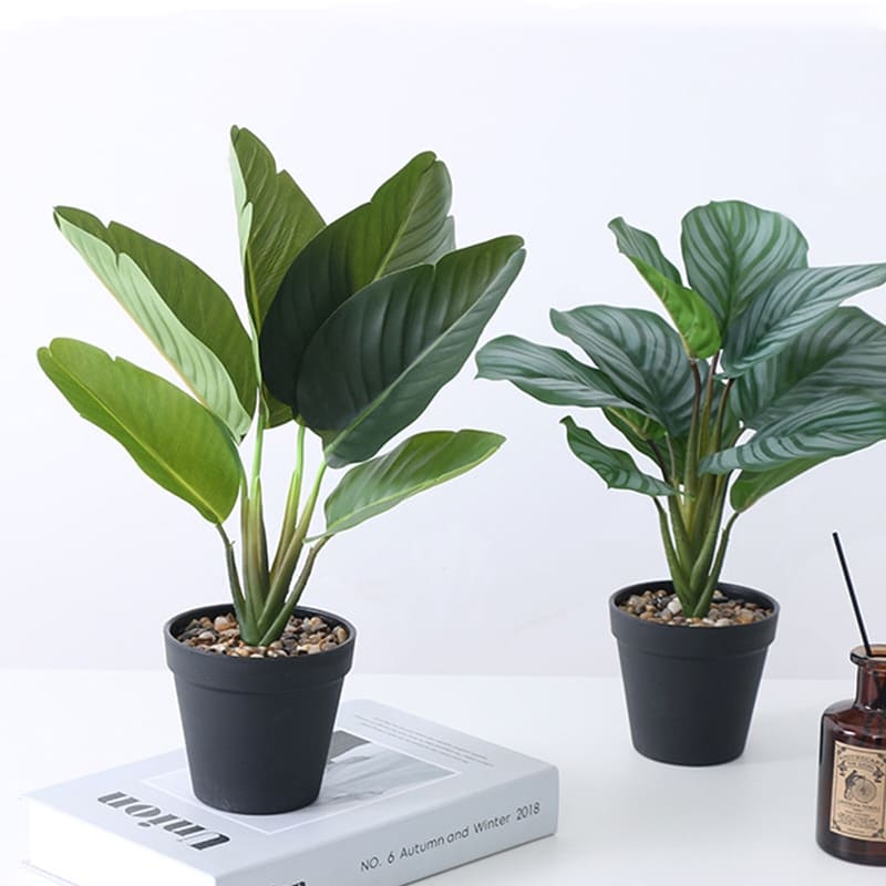 Plante Tropicale Artificielle Intérieur