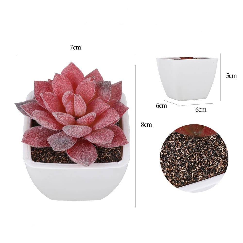 Succulentes artificielles rouge dimensions
