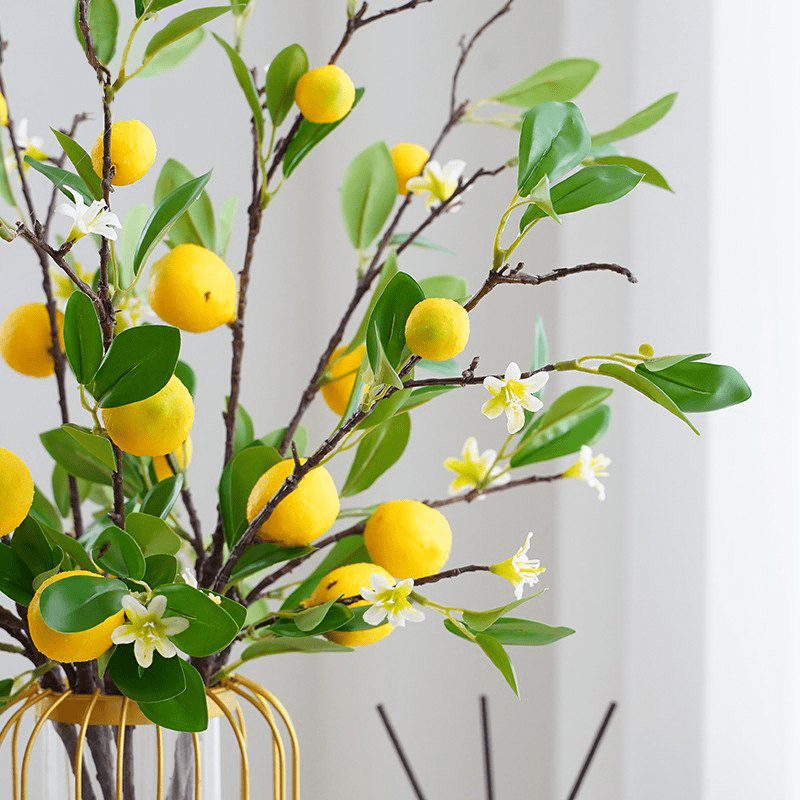 Faux Citronnier
