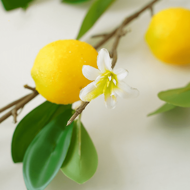 Faux Citrons