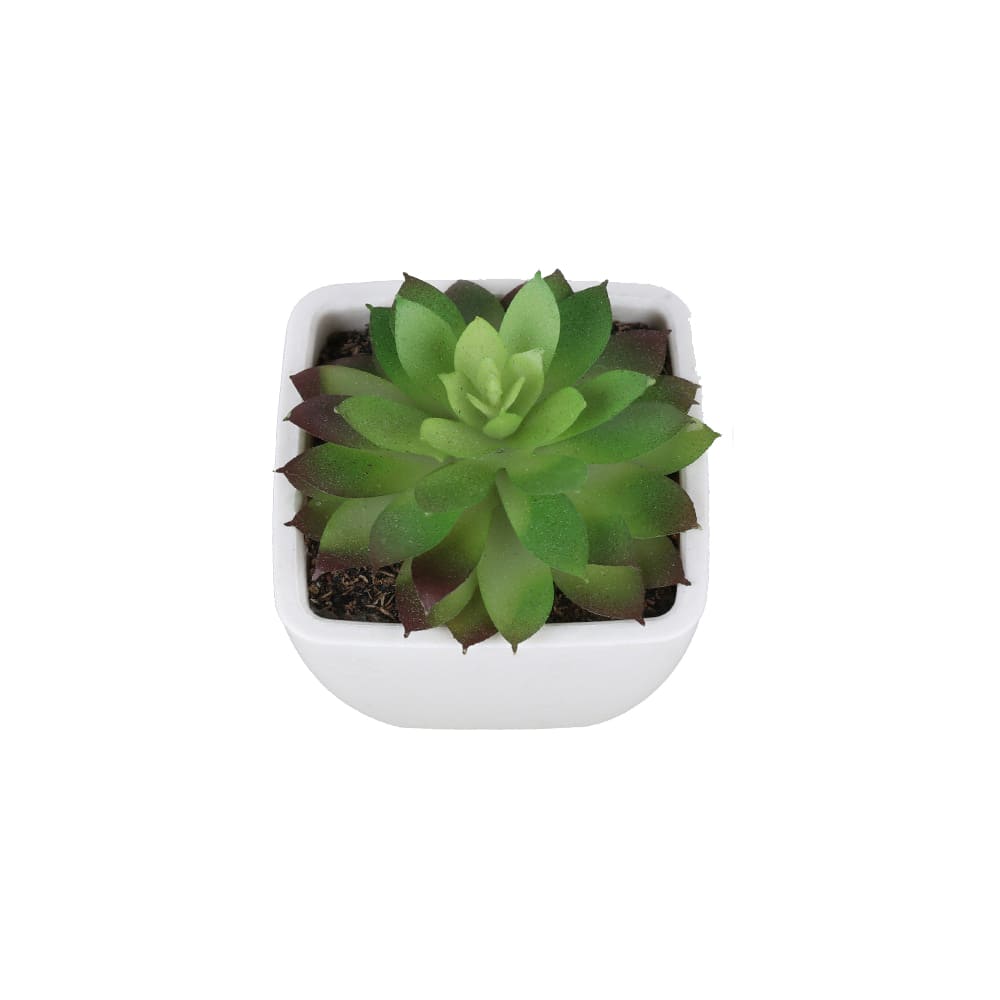 Mini succulente artificielle