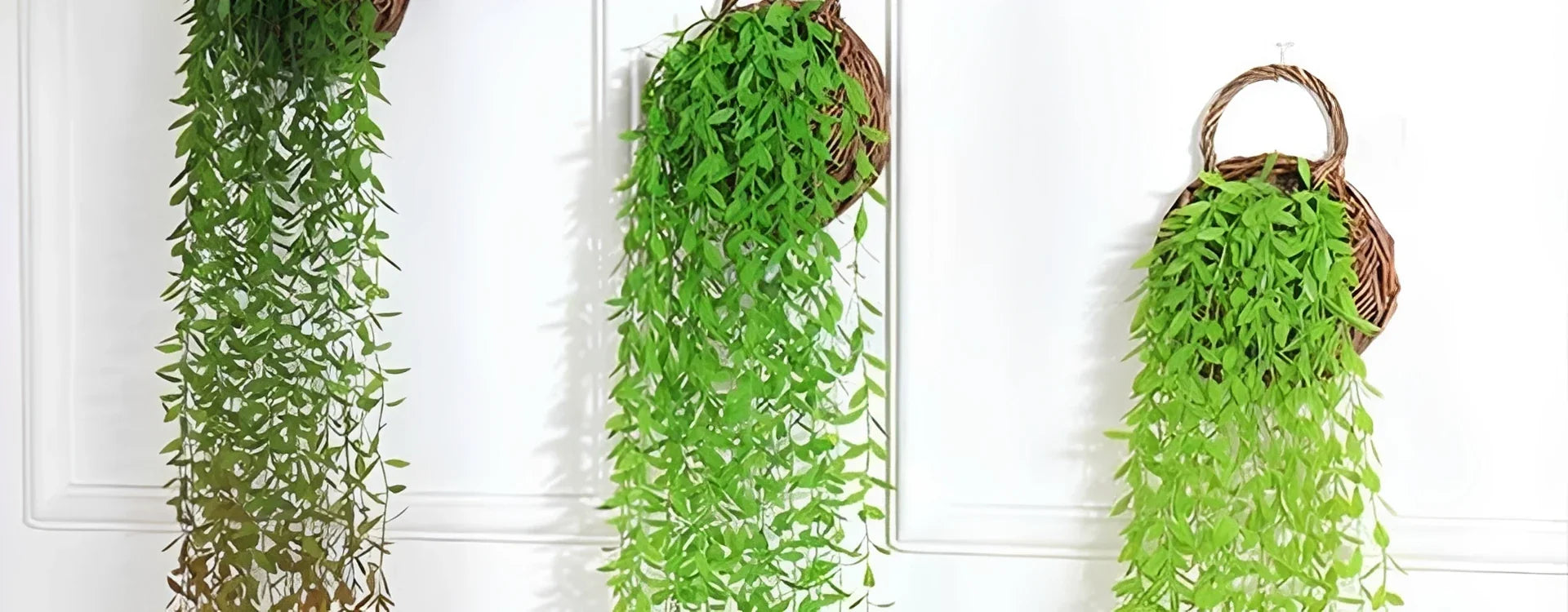 Plante Artificielle Salon : Comment Choisir et Où la Poser ?