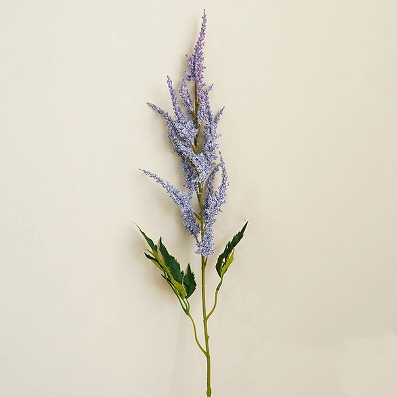 Astilbe de Chine Violet