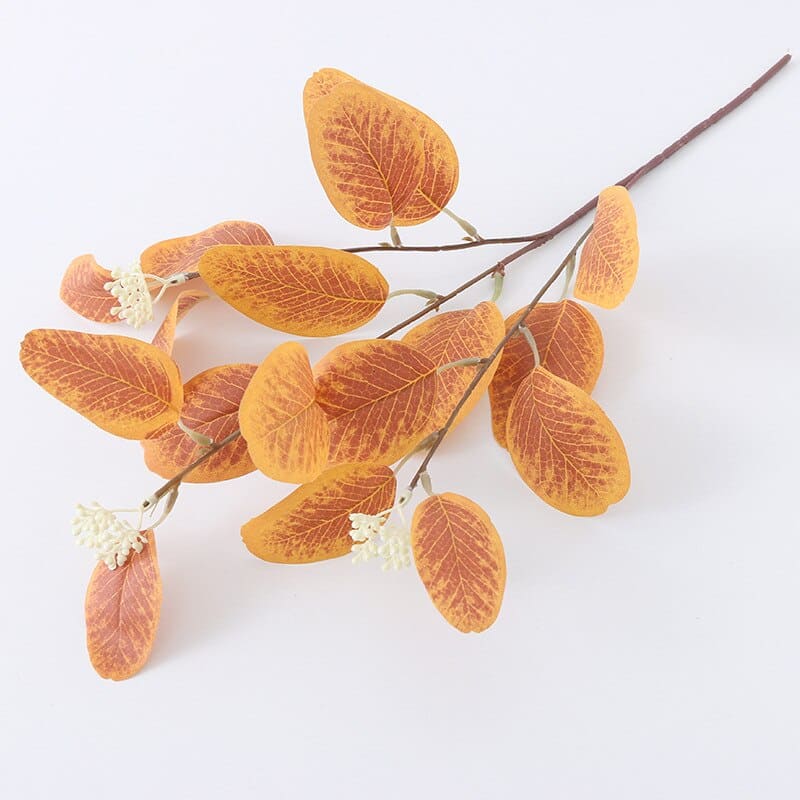 Bouquet Feuilles d'Eucalyptus Orange