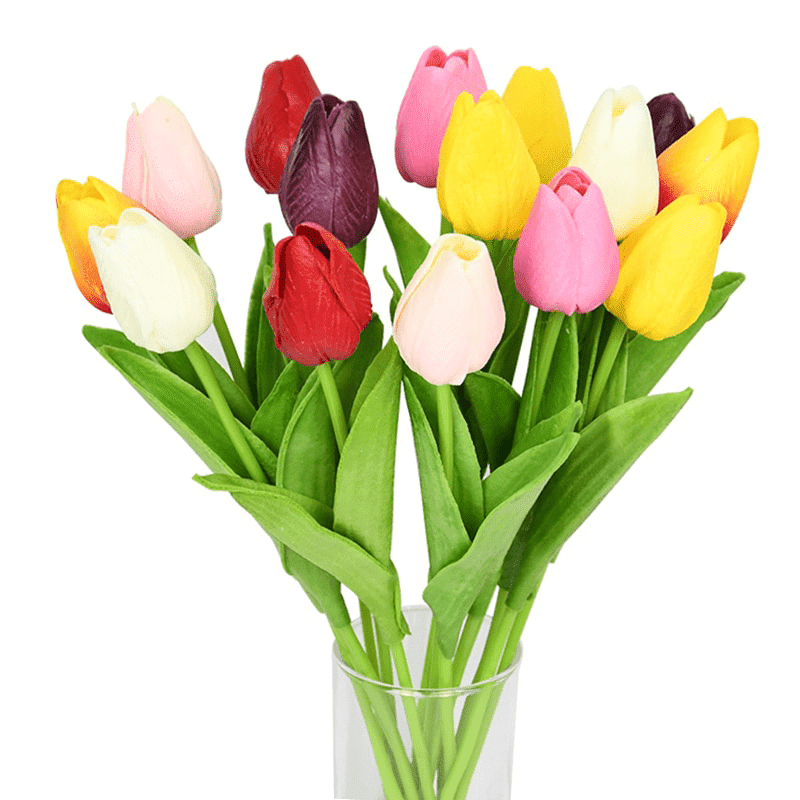 Bouquet de Tulipes Multicolore