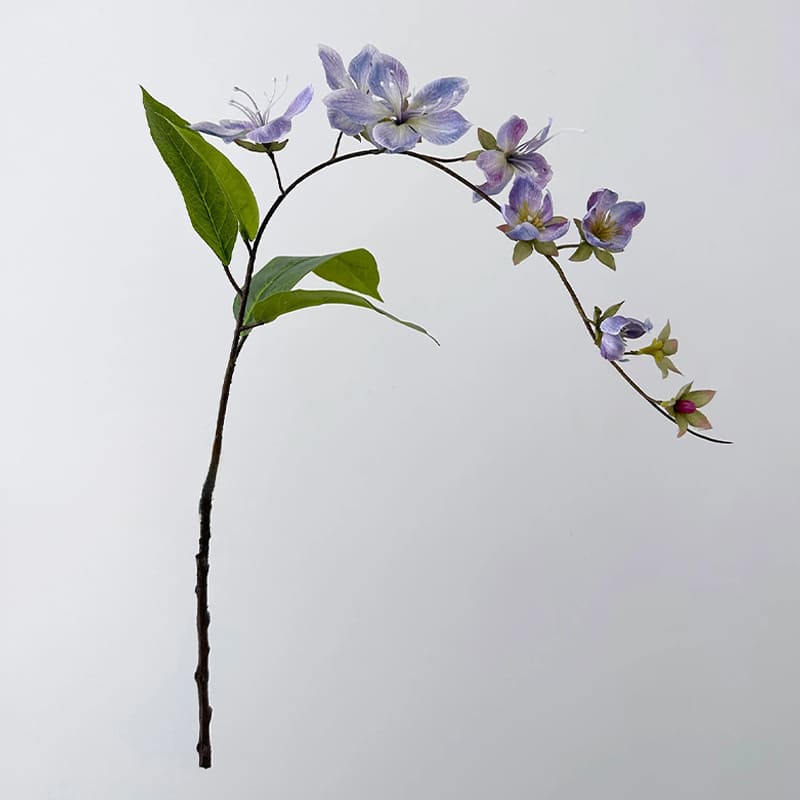 Branche de Jasmin Violet