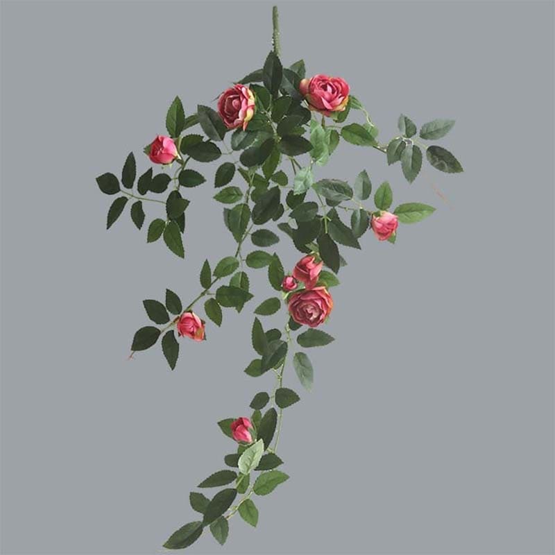 Branche de Rose Rose