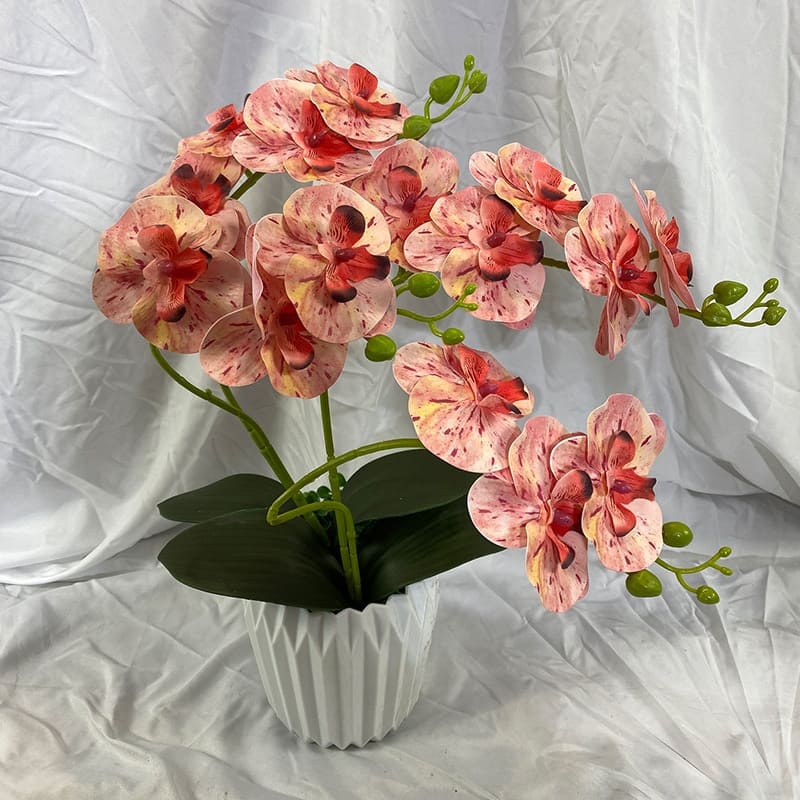 Acheter Lot de 6 tiges d'orchidées artificielles, fleurs de Phalaenopsis  artificielles, orchidées au toucher réel, tiges de fleurs artificielles,  fleurs en latex, orchidées artificielles pour la décoration de la maison