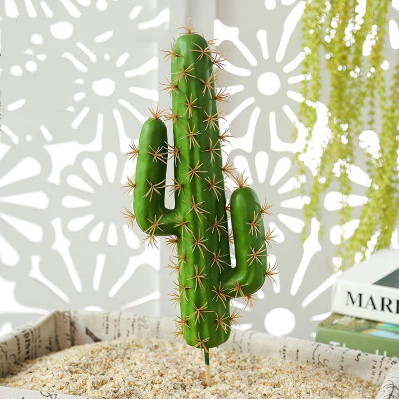 Cactus Déco Intérieur Vert