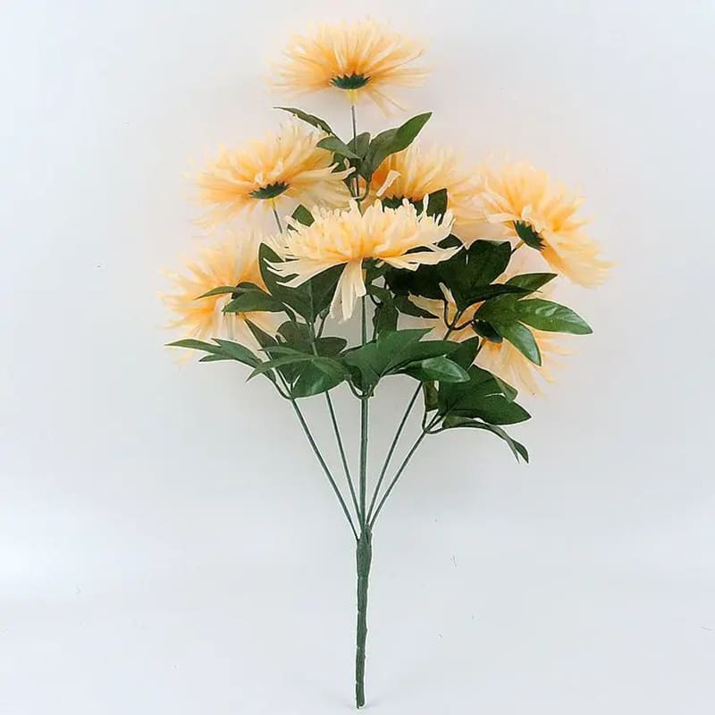 Chrysanthemum Orchid Hélen Beige