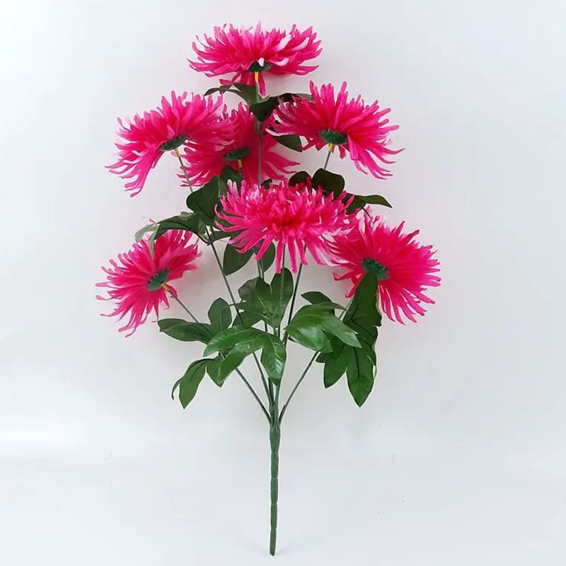 Chrysanthemum Orchid Hélen Fuchsia