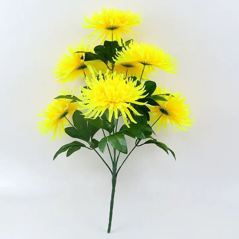 Chrysanthemum Orchid Hélen Jaune