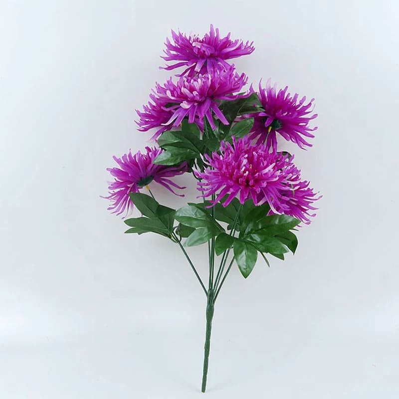 Chrysanthemum Orchid Helen Violet