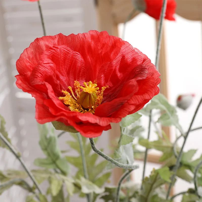 Coquelicot Artificiel Champ