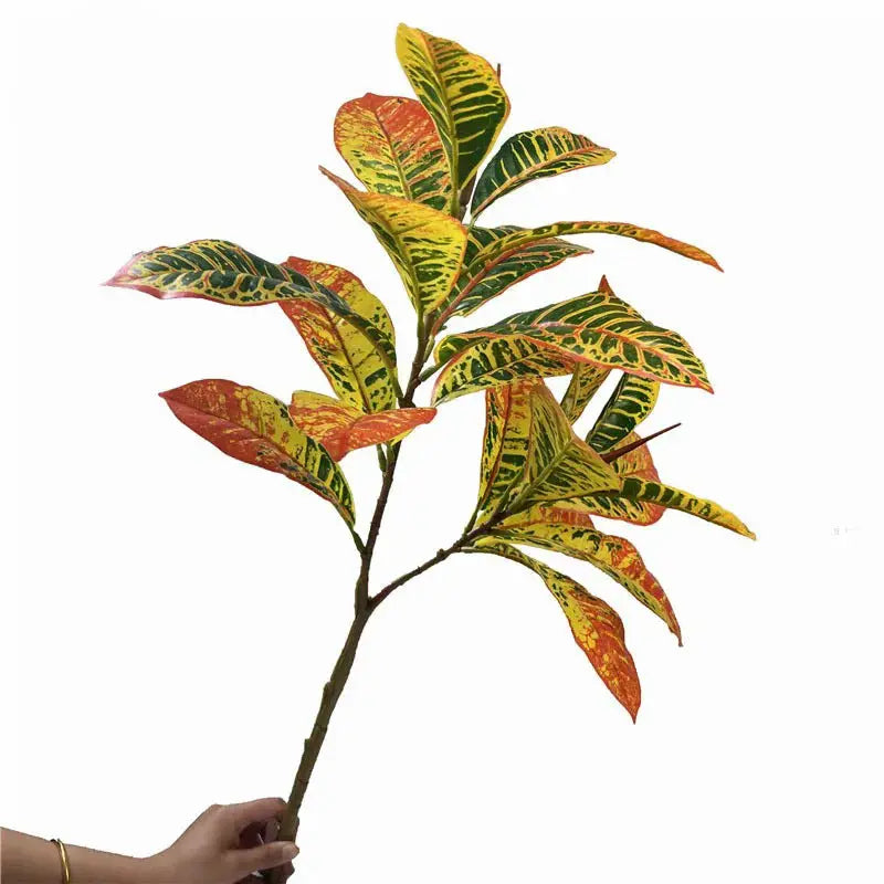 Croton Artificiel