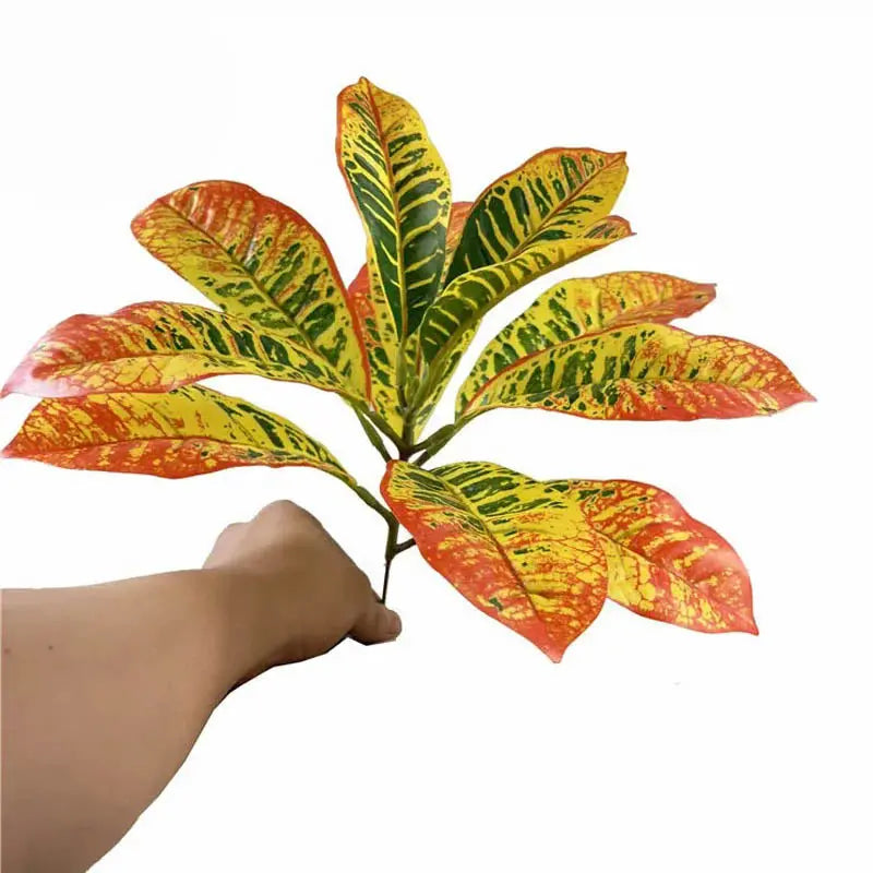 Croton Artificiel