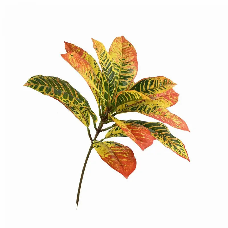 Croton Artificiel