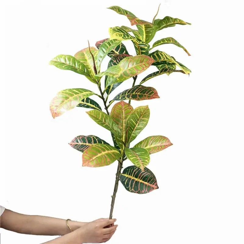 Croton Artificiel