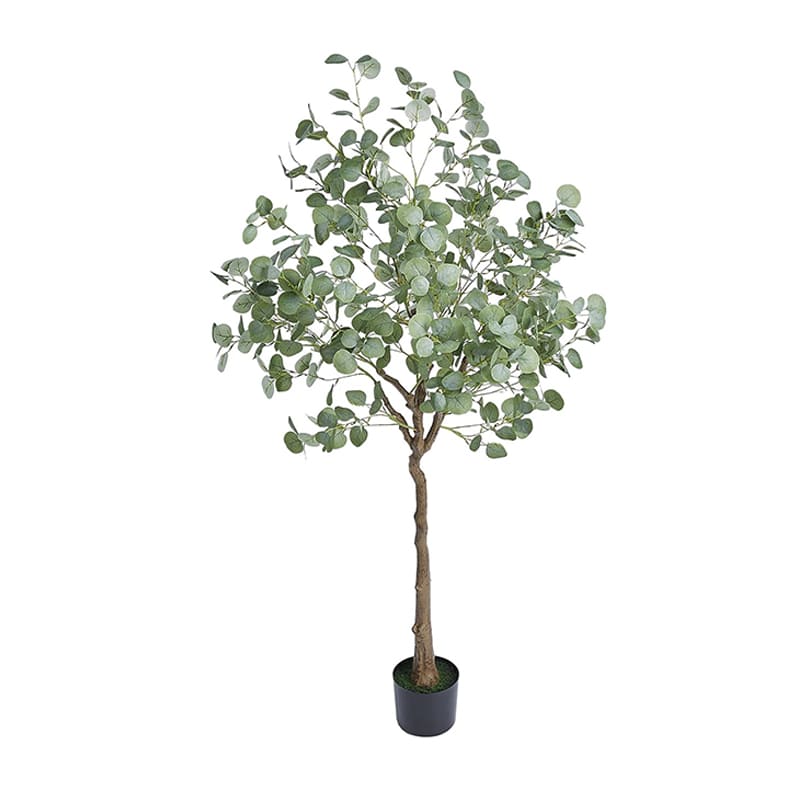 Eucalyptus Gunnii Artificiel Vert en Pot