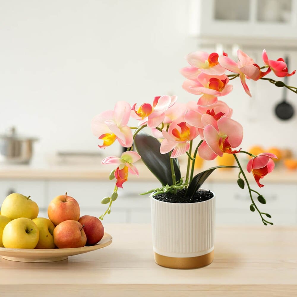 BENO Fleurs d'orchidées artificielles avec Vase Faux orchidée Phalaenopsis  Faux orchidée pour la décoration de la Maison Centre de Table Décorations  de Maison : : Cuisine et Maison