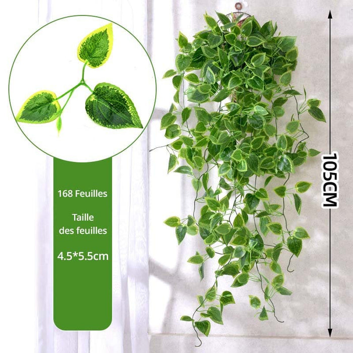 Sitemapcdatahttpswen2windecoocomfausses Plantes Retombantes