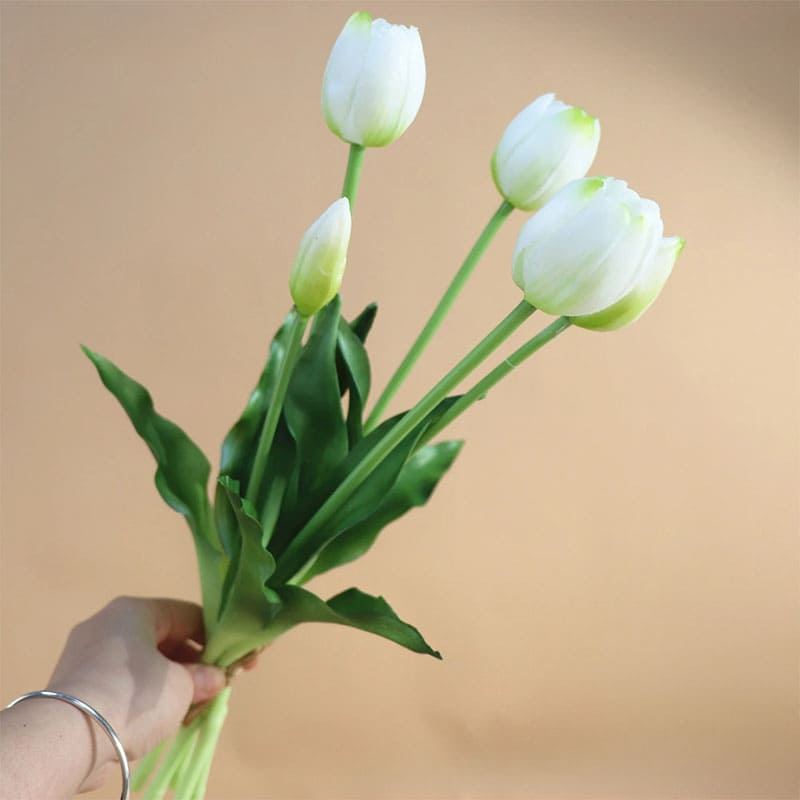 Fausses Tulipes Blanc Vert