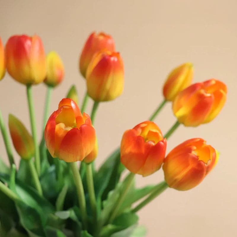 Fausses Tulipes Déco