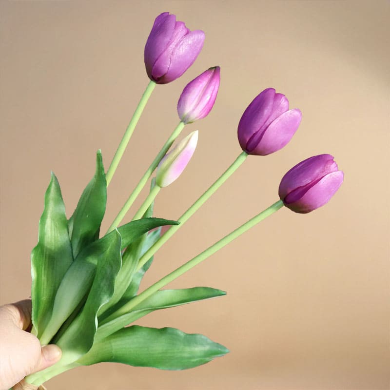 Fausses Tulipes Violet