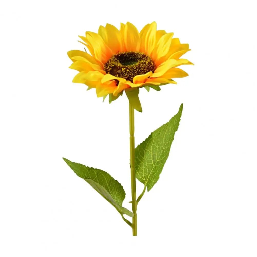 Faux Tournesol G