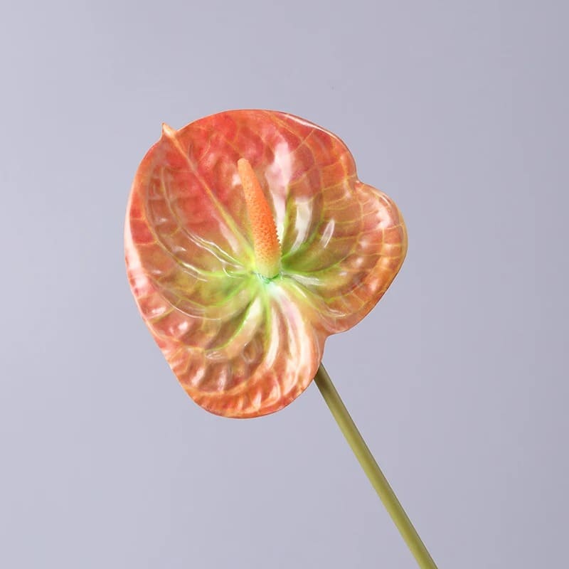 Fleur Anthurium Orange