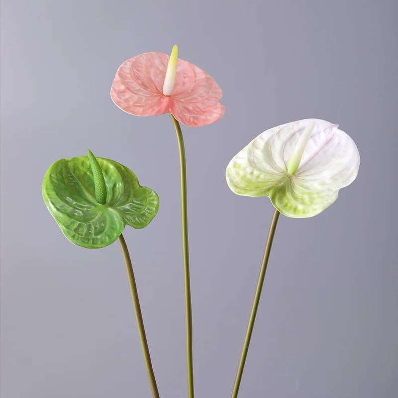 Fleur Anthurium Vase