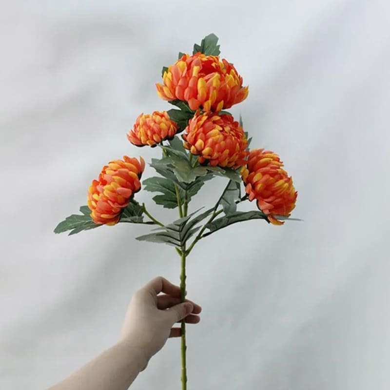 Fleur Chrysanthème Orange