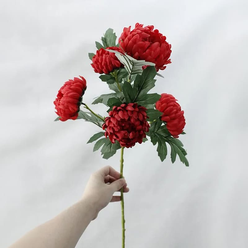 Fleur Chrysanthème Rouge