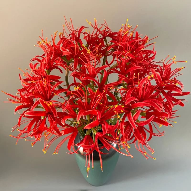 Fleur Higanbana Bouquet