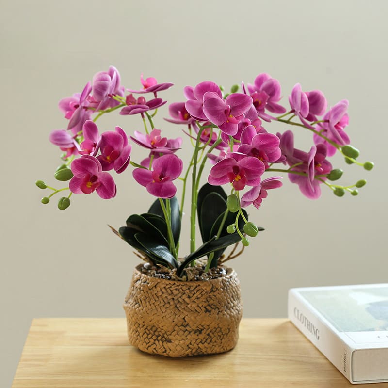 Fleur Orchidée Magenta