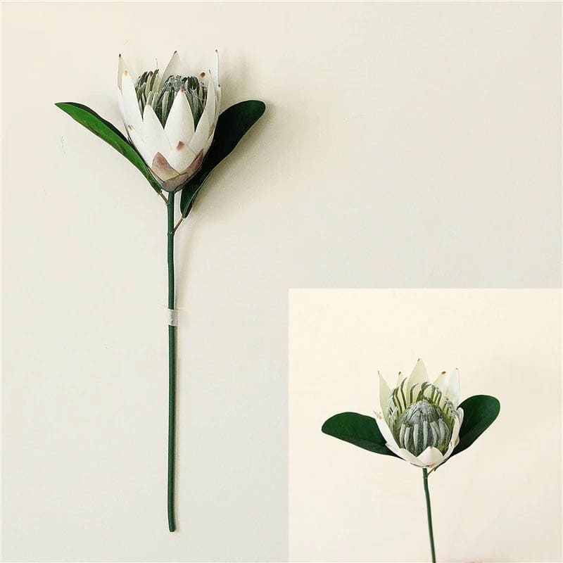 Fleur Protea Blanc